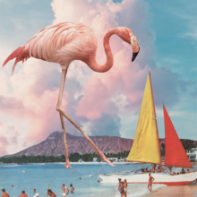 Karen Lynch - Flamingo Playground